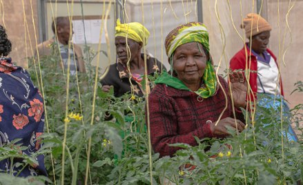 Afryka: Lokalne innowacje odpowiedzią na zmiany klimatu