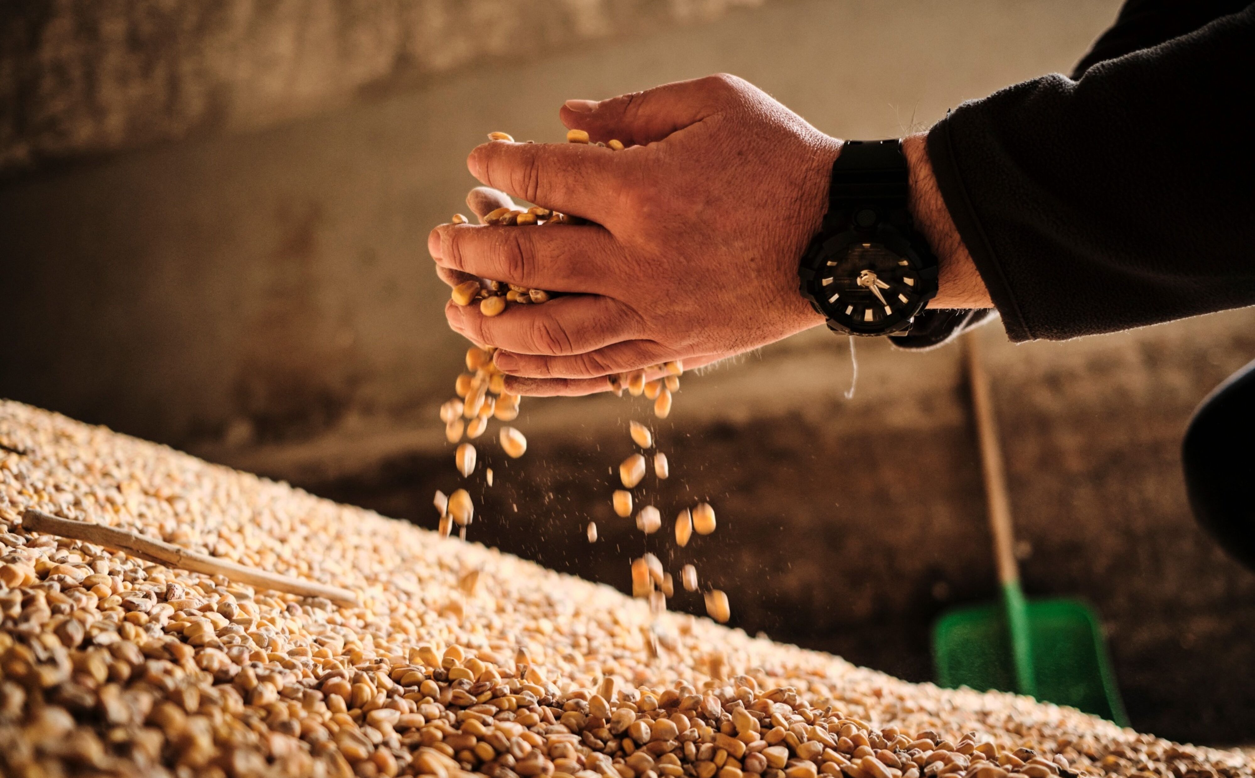 Handlowy cios Brukseli w Ukrainę. Restyrykcje pojawiły się w trudnym momencie