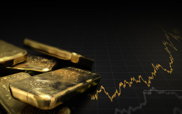 Czechy: Banki centralne nie potrzebują złota