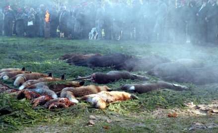 Przepisy dotyczące myśliwych znowelizowano dokładnie rok temu