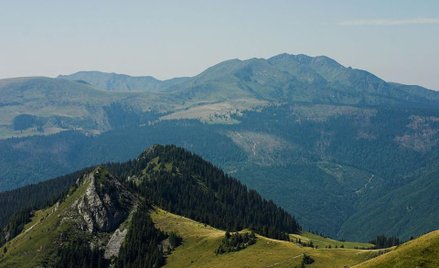 Karpaty szybko zarastają lasem