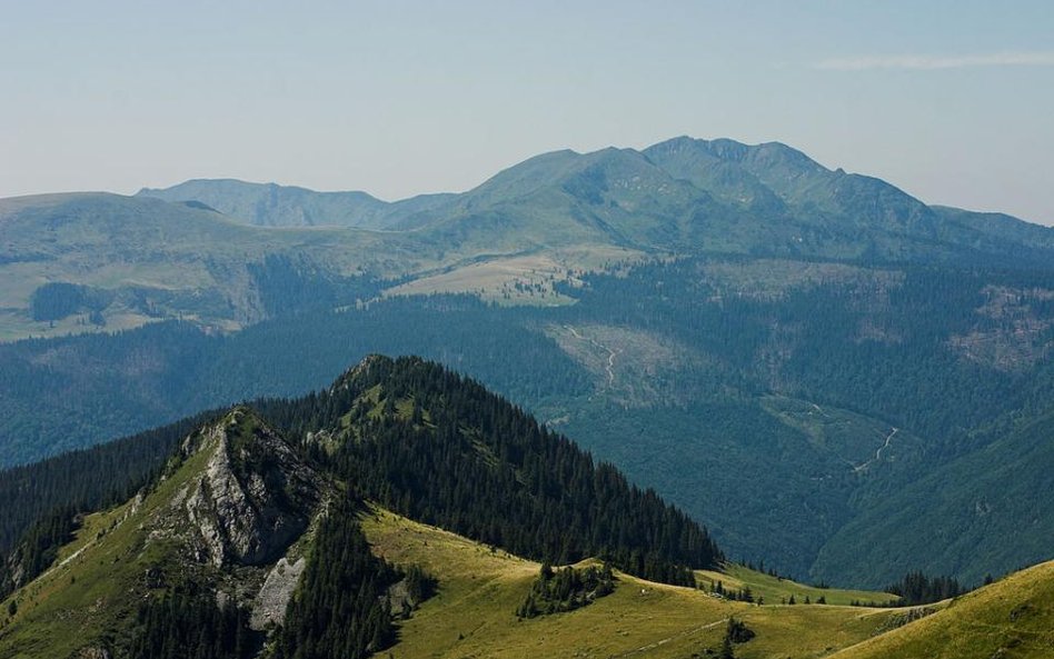 Karpaty szybko zarastają lasem