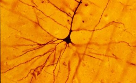 By The original uploader was Cahass at English Wikipedia (Transferred from en.wikipedia to Commons.)