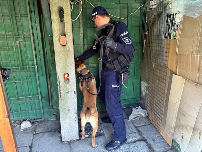 W akcji wykorzystano także psy policyjne, które pomagały w wykrywaniu narkotyków i innych nielegalny