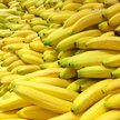 Niemcy: Rekordowy przemyt kokainy w bananach. Warta 25 mln euro