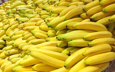 Niemcy: Rekordowy przemyt kokainy w bananach. Warta 25 mln euro