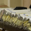 Zaginęło ponad tysiąc akt