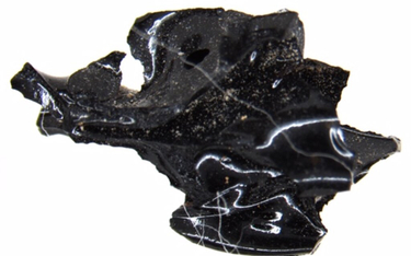 Czarna "skała" sprzed 2000 lat to kawałek mózgu