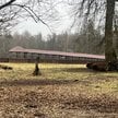 Białowieża