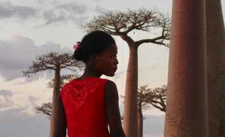 Nie wojny, a klimat: Madagaskar walczy z katastrofą głodu