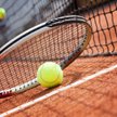 Turniej ATP w Sofii: Dimitrow i Goffin w finale