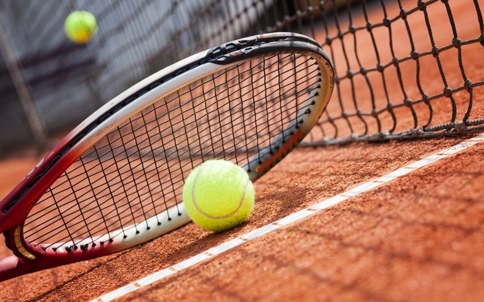 Turniej ATP w Sofii: Dimitrow i Goffin w finale