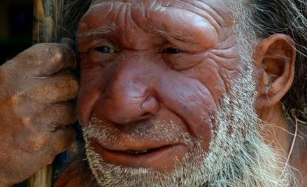 Naukowcy odtworzyli dietę neandertalczyka m.in. na podstawie badania zębów