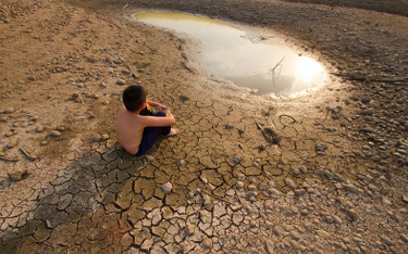 Raport WWF ujawnia szokującą skalę wpływu człowieka na planetę