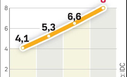 Polski rynek IT zdominują usługi
