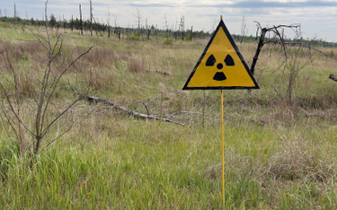 Ukraina zawiesza szereg porozumień z Rosją dotyczących bezpieczeństwa jądrowego