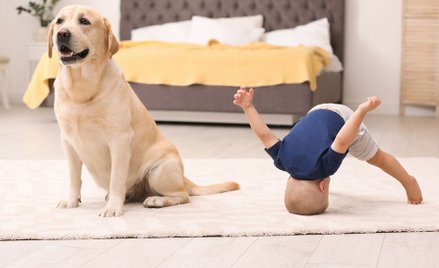 W Hiszpanii jest więcej zwierząt domowych niż dzieci poniżej 15 lat