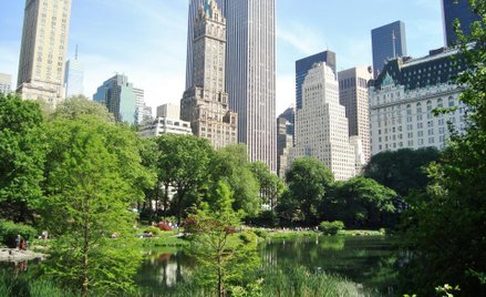 NIK o zarządzaniu zielenią w miastach