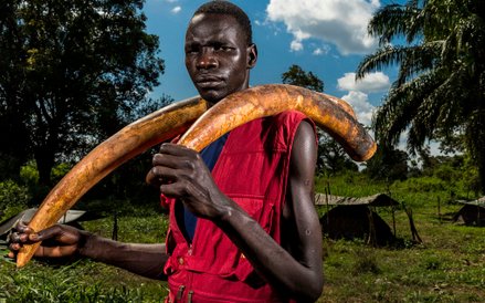 Natura - Fotoreportaż - Druga nagroda