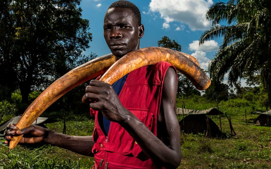 Natura - Fotoreportaż - Druga nagroda