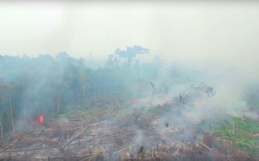 Indonezja: Płoną płuca Ziemi