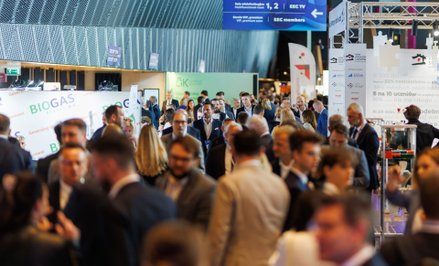 Rynek pracy – dokąd zmierza transformacja