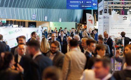 Rynek pracy – dokąd zmierza transformacja