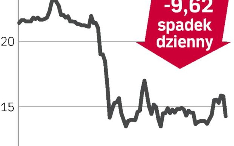 Dolnośląskie Surowce Skalne – spółka, o której się mówi w Warszawie