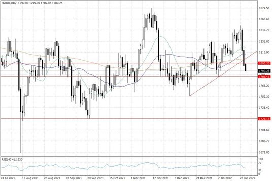 Notowania złota – dane dzienne