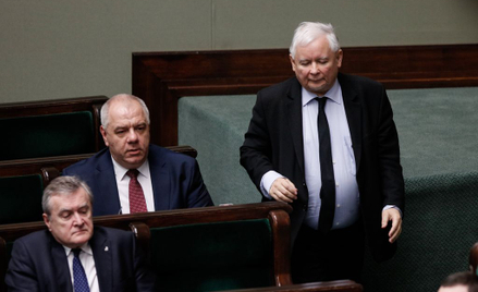 Jak głosowali posłowie ws. tzw. Piątki dla zwierząt