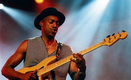 Szalone basowe struny