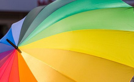 Najnowsze statystyki nt. społeczności LGBT w Europie. Niemcy na czele