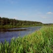 Czysta woda, lasy i słabo zaludnione okolice. Tak wygląda Niemen 50 km przed Grodnem