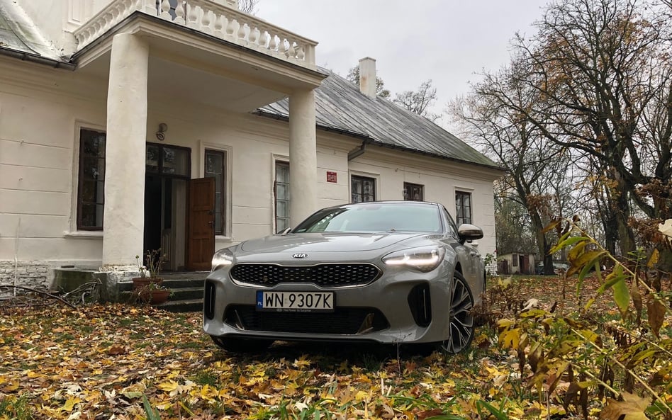 KIA Stinger 2,0 T-GDI: Nie jestem szarą myszką