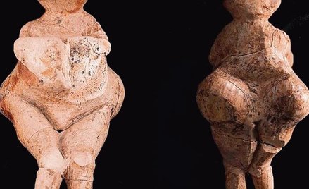 Większość odnajdywanych figurek kobiecych z epoki lodowej to tzw. Wenus Institut d'Archéologie et d’
