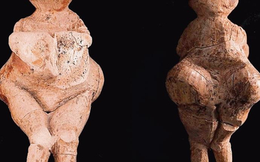 Większość odnajdywanych figurek kobiecych z epoki lodowej to tzw. Wenus Institut d'Archéologie et d’