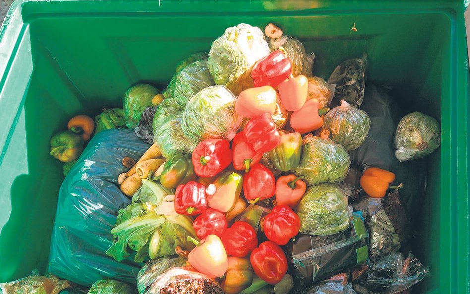5 mln ton jedzenia trafia co roku do polskich śmietników. Najczęściej wyrzucamy kupione uprzednio go