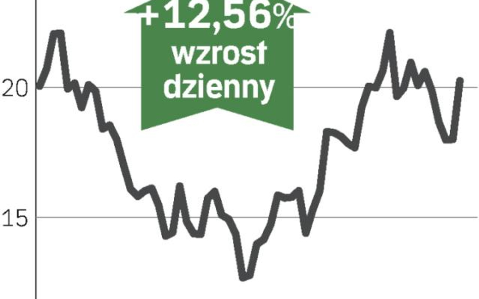 Konsekwentna redukcja długu