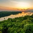 Taczanowskia waska upodabnia się do martwego pajęczaka zainfekowanego przez pasożytniczego „grzyba z