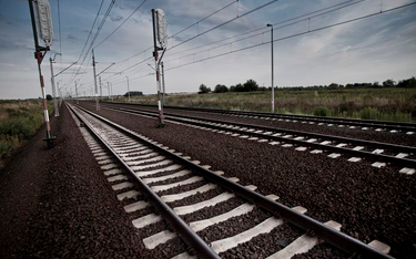 Estonia klepnęła Rail Baltica