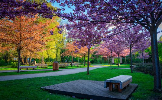 W Gdańsku znajdziemy ok. 30 parków miejskich, a ponad 20 proc. powierzchni miasta to tereny zielone
