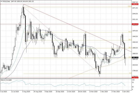 Notowania złota – dane dzienne
