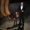 Jimmy Kimmel z osłem na scenie w czasie oscarowej gali