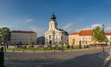Atak nożownika w Wadowicach. Policja bada sprawę