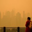 Naukowcy sądzą, że w przyszłym roku wzrost stężenia CO2 może być jeszcze wyższy