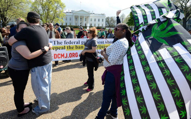 Protestujący w Waszyngtonie żądają legalizacji marihuany w prawie federalnym, a nie tylko w poszczeg