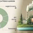 Polskie spółki apelują o ustępstwa w polityce klimatycznej
