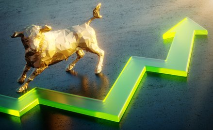 Byki tygodnia, czyli trzy spółki z pozytywnymi sygnałami analizy technicznej