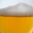 Nieco ponad 26 mld zł wydaliśmy na alkohole w sklepach i na stacjach benzynowych od lutego 2010 r. d