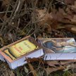 Biblia króluje na liście bestsellerów